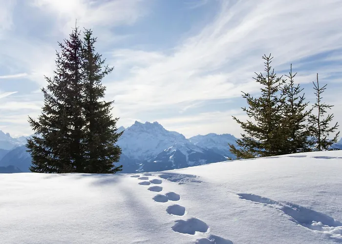 Appartement Sunset B 11 By Interhome *